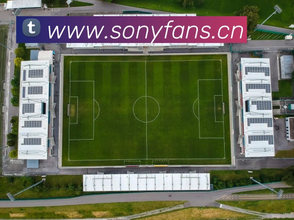 人人体育直播平台生态图