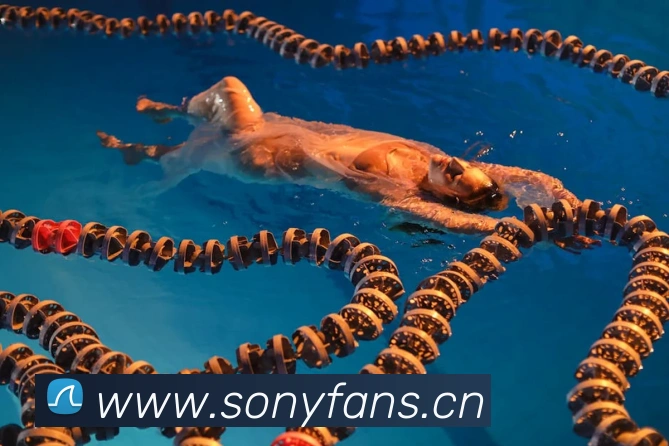 辅助工具 辅助工具